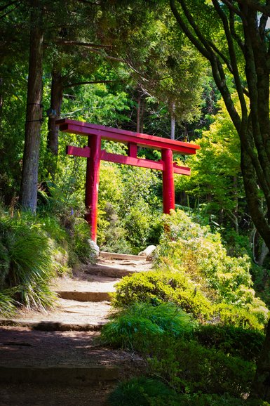 The Mishima Torii Gate.