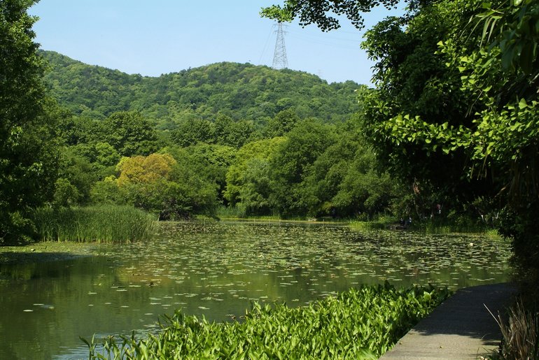 Phoenix Hill with Eight Diagram Field in the foreground