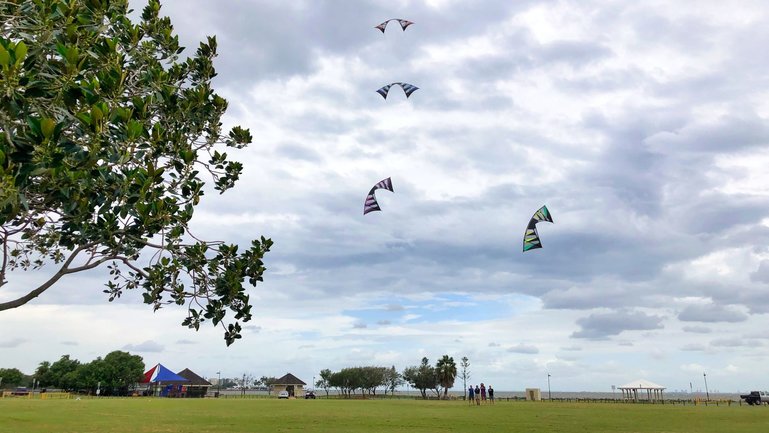 When the winds are blowing off Bramble Bay, this is a popular park to come and fly a kite