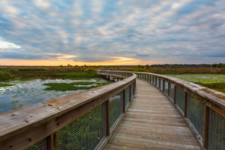 Birding Trail in Florida