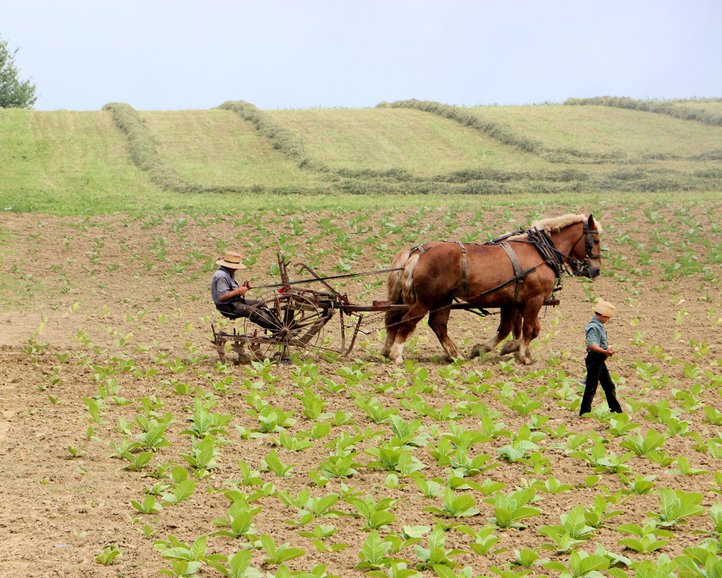 Amish Country