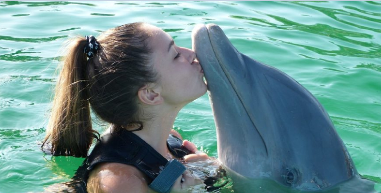 Playing with the dolphin during the dolphin tour