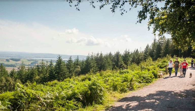 Haldon Forest Park