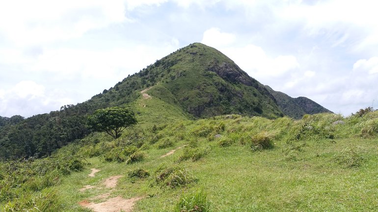 Ngong Ping Camp Site