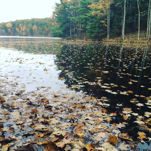 Tourist In Your Own Town: Muskegon, Michigan