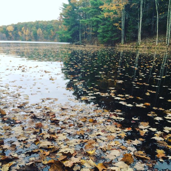 Owasippe Outdoor Recreation Area