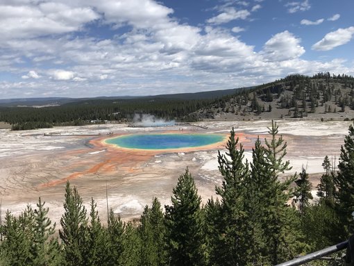Experience Yellowstone Early and Avoid the Crowds