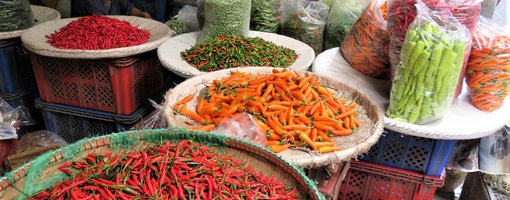 We're Going to Eat What?! - A Thai Street Food Challenge