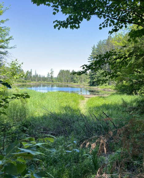 CAMBA Trails, northwoods Wisconsin