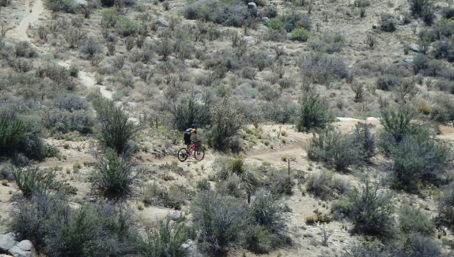 Albequerque desert mountain biking