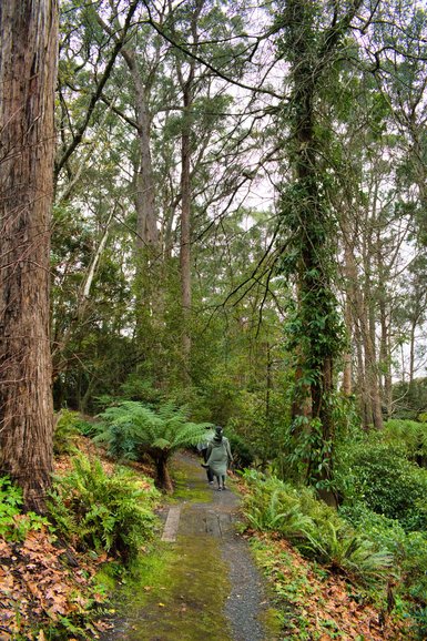 Unsealed paths may be a bit muddy or slippery after rain