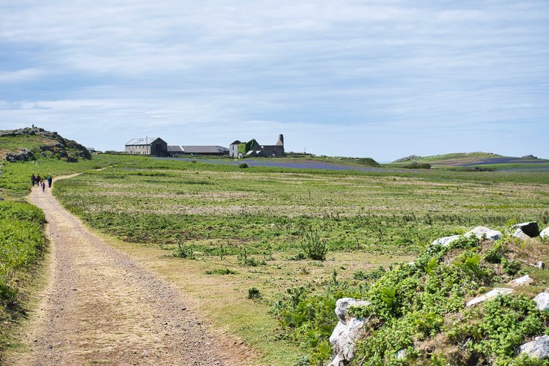 The path to the Old Farm from the Ferry Landing. This is the anti-clockwise way to start your journey around the island.