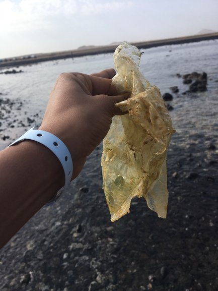 On the beach near Sal, Cape Verde