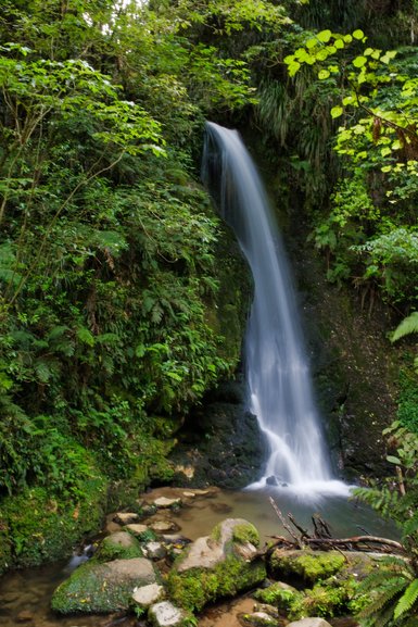 The beautiful waterfall in the midst of the bush