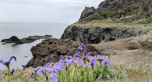 Newfoundland: Bottle Harbour