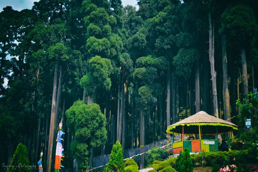 Ghoom- The Cloudy Tale Of Darjeeling!