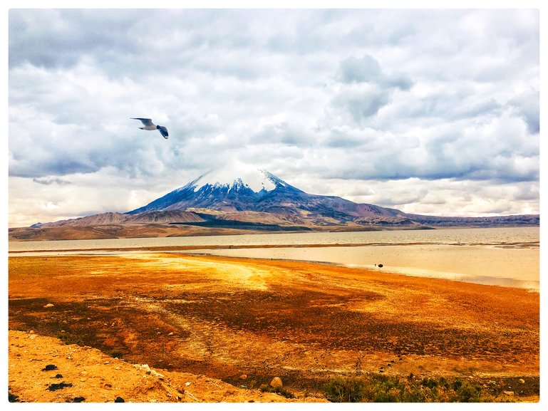 Lago Chungará, Arica y Parinacota, Chile