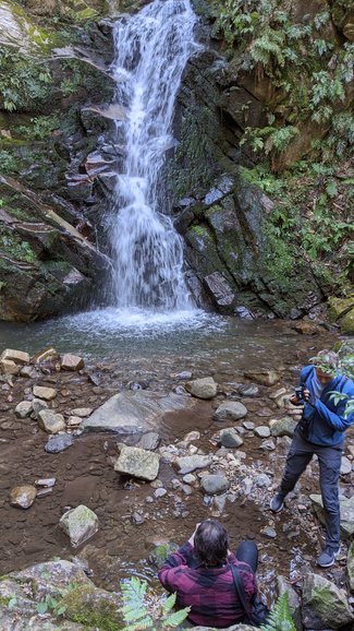 Lovely waterfall in the forest