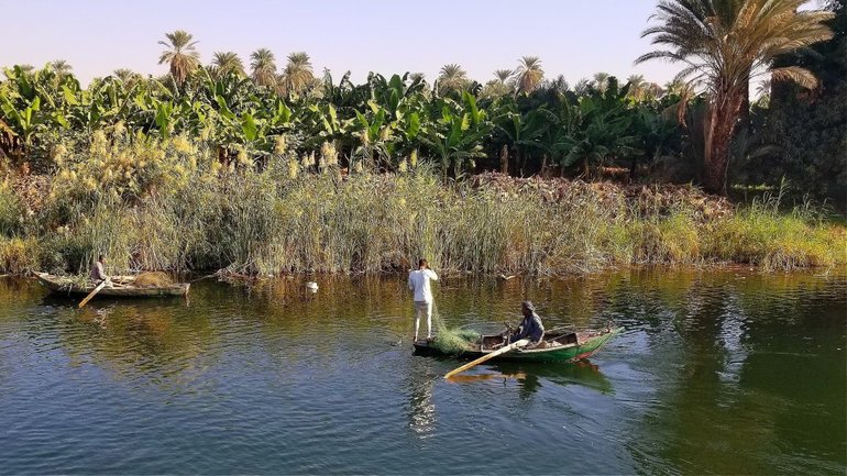 A typical morning scene along the Nile!