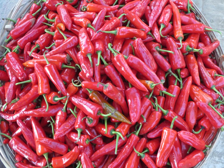 spicy Bhutanese chilies