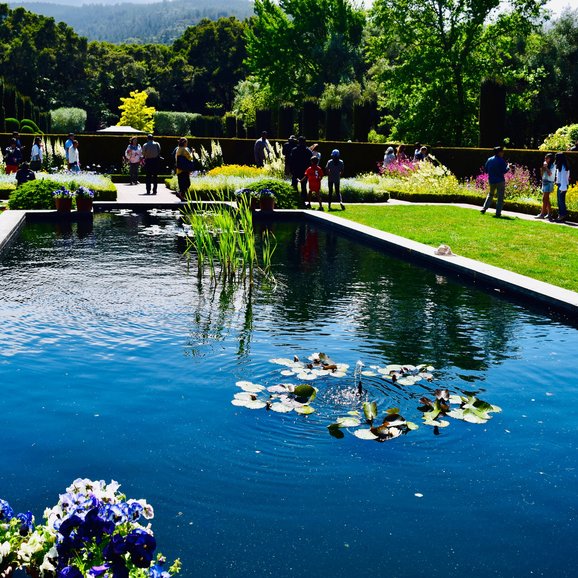 The Pool at Filoli