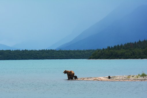 The Best Way to See Alaska