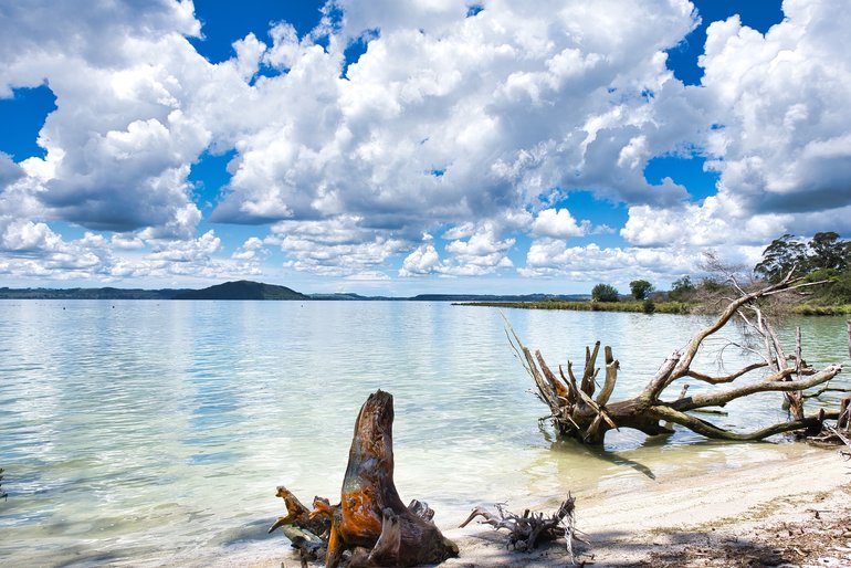 Views along the waters of Lake Rotorua