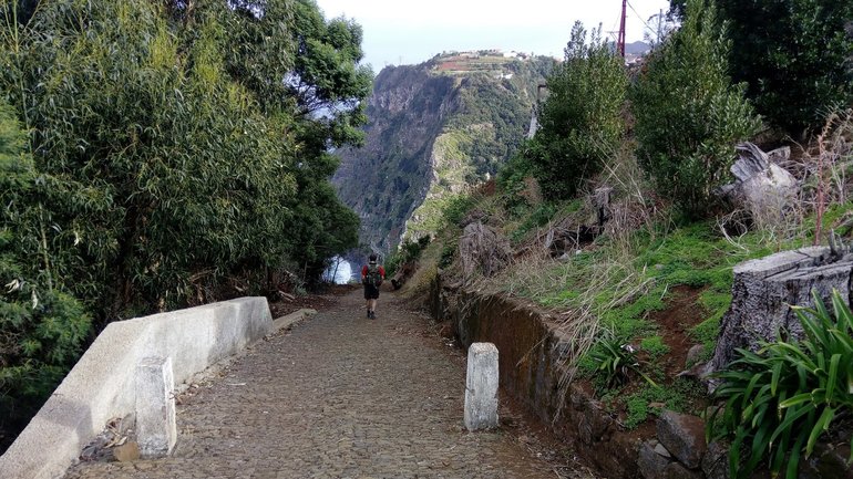 Walking in Madeira