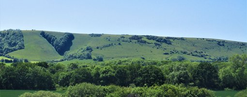 A Camping Trip to Blackberry Wood, East Sussex, England