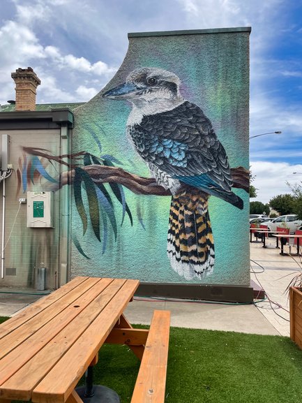 A great place to sit and relax with a Kookaburra looking on.