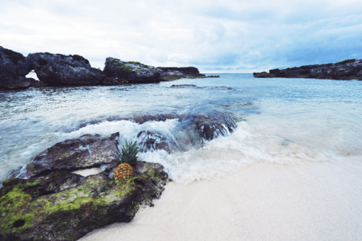 Best Excursions in Playa del Carmen