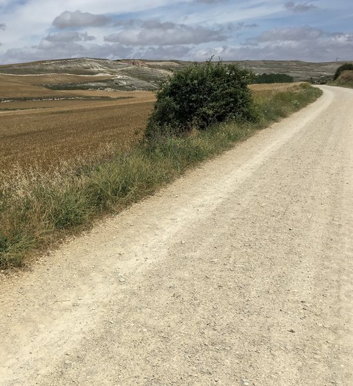 Walk Your Own Camino