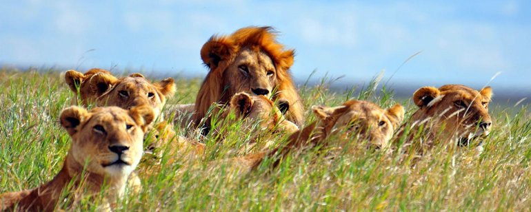 Serengeti National Park