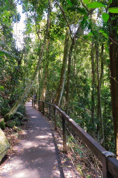 The path to the falls is paved, but it can be steep in parts