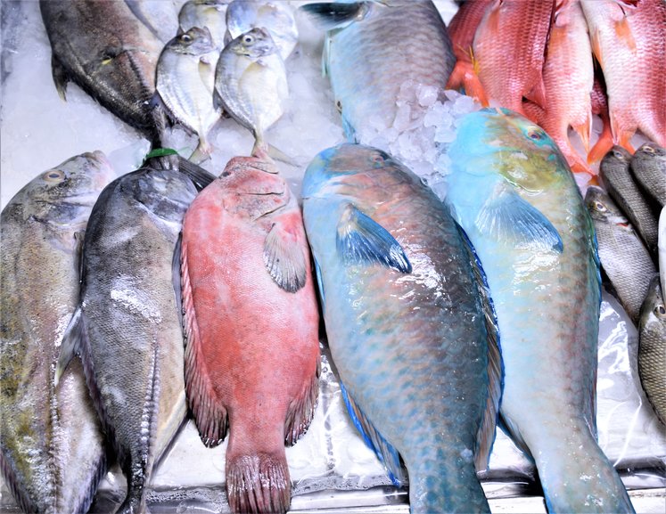 A stall at Jeddah fish market