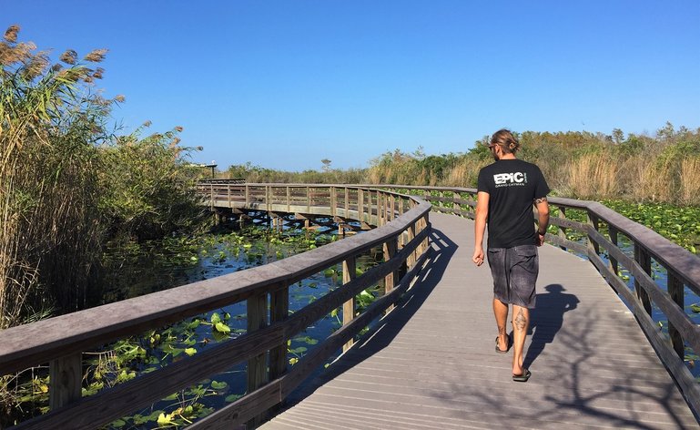 The Anhinga Trail is one of the most popular within the Everglades National Park