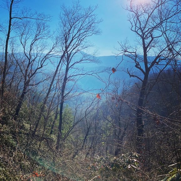 The blue haze of the Smoky Mountains