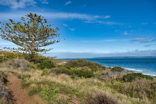 Best Things to Do in the Fleurieu Peninsula, South Australia