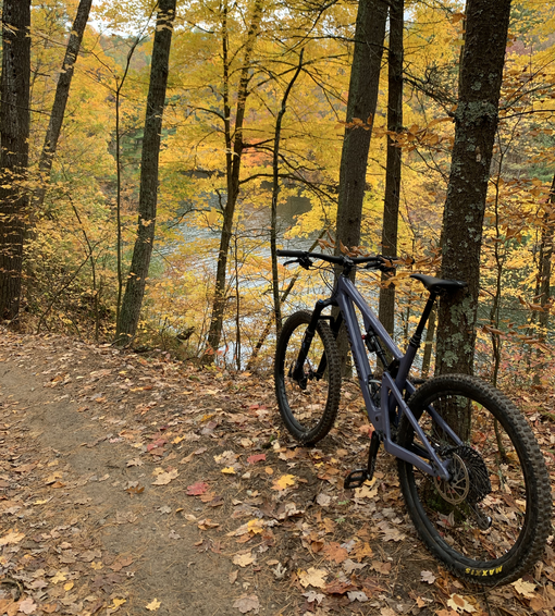 Michigan - The Great Beer and Bike State