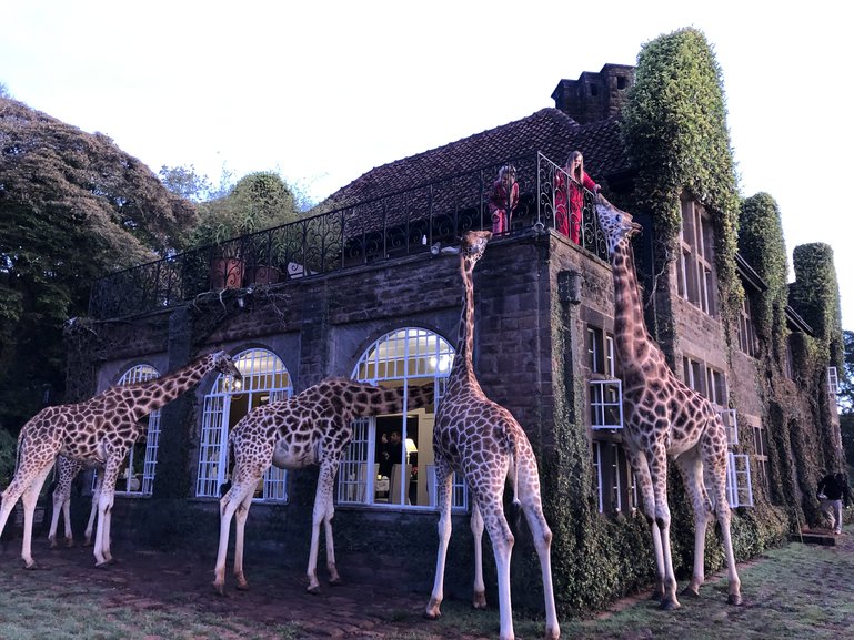 Giraffe Manor