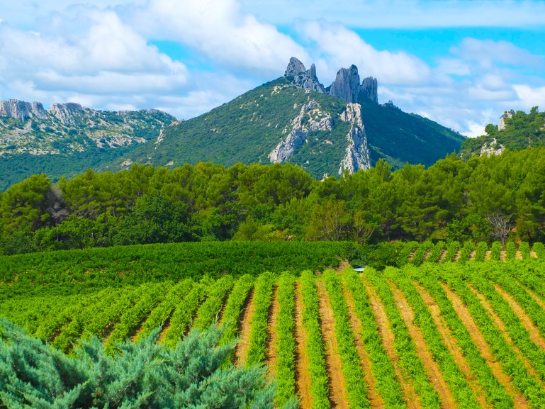 Dentelles de Montmirail from Suzette