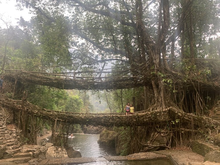Double decker Living root bridge