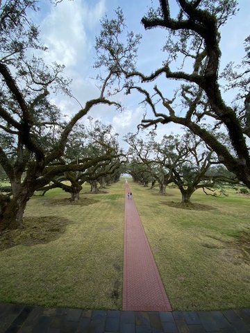 Overlooking the Plantation