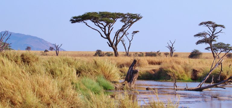 Serengeti National Park, Tanzania