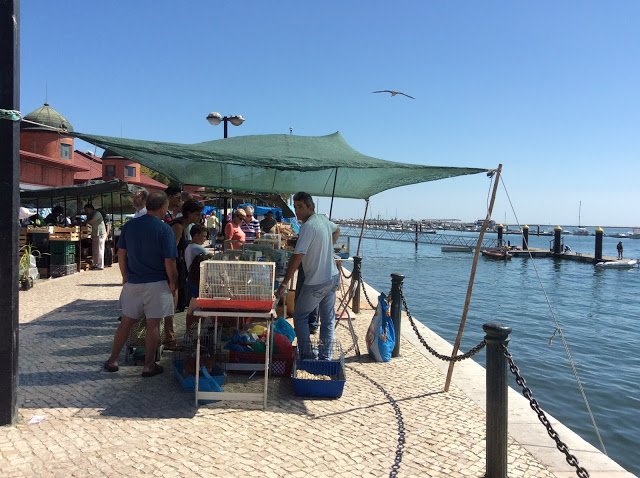 Olhao market. Portugalholidays4u