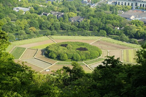 Exploring Hangzhou: Eight Diagram Field and its Surrounding Hills