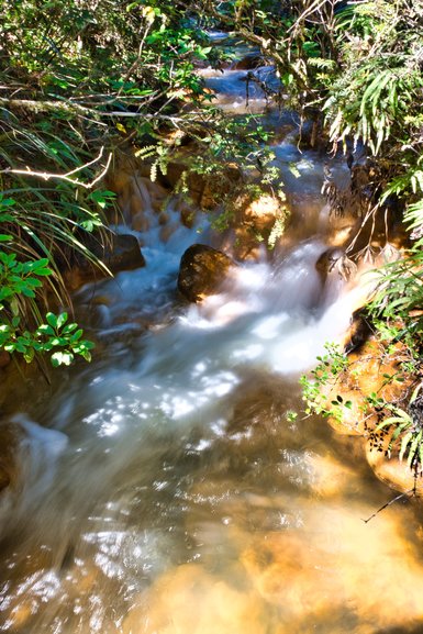 Crossing a small bridge, you can plainly see the iron-rich waters which give Golden Rapids their colour and name.