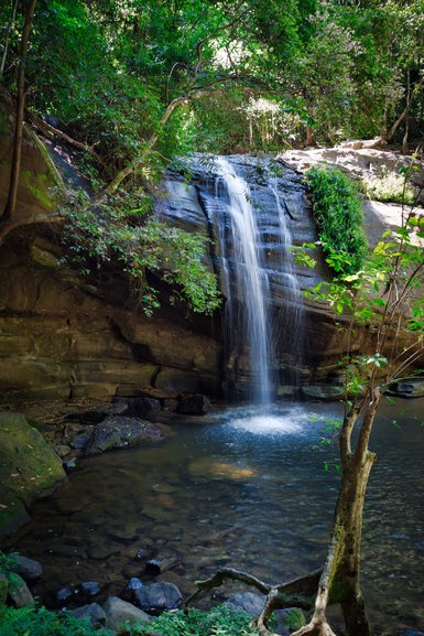 Buderim Falls are falling into the swimming hole