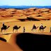 SaharaHolidaytours