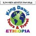 kingdawittoursethiopia